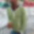 Photo de profil de Patrick Muamba Lubemba