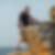 Photo de profil de Jean Luc Gohier