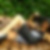 Photo de profil de Flavie Amram