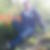 Photo de profil de Ibrahim Kayar