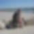 Photo de profil de Geraldine Joly