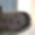 Photo de profil de Siegfried Marchandise
