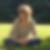 Photo de profil de Murielle Lannoo