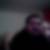 Photo de profil de Sebastien Semet
