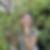 Photo de profil de Sandrine Schang