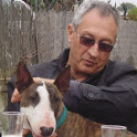 Photo de profil de Gilbert Mittica