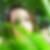 Photo de profil de Sandy Ferreira