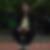 Photo de profil de Phylicia Lcf