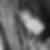 Photo de profil de Marjorie Dazon