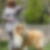 Photo de profil de Ghislaine Foubert