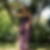 Photo de profil de Aurore de Kanel