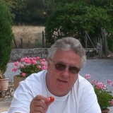 Photo de profil de Michel Violleau