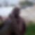 Photo de profil de Moussa Coulibaly