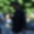 Photo de profil de Gomes Jose