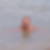 Photo de profil de Franck Gravier