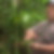 Photo de profil de Louis Alphonse