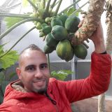 Photo de profil de Mohamed Mimouni