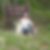 Photo de profil de Florence Torres