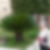 Photo de profil de Mireille Bourquard