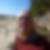 Photo de profil de Georges Verse
