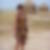 Photo de profil de Nicole Fosset
