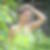 Photo de profil de Geraldine Courville