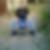 Photo de profil de Anthony Humbert
