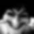 Photo de profil de Baal Pacic