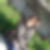 Photo de profil de Nora Rebhi