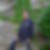 Photo de profil de Georges Hazot