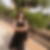 Photo de profil de Asmaa Elaihar