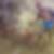 Photo de profil de Filipe Conceicao