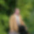 Photo de profil de Jacques Caroux