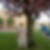 Photo de profil de Moha Bacha