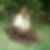 Photo de profil de Magali Rochambeau