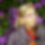 Photo de profil de Monique Lavenu