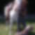 Photo de profil de Maryline Bonhomeau