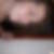 Photo de profil de Nathalie Schotte