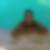 Photo de profil de Ouadah Mokrfi