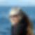 Photo de profil de Jacqueline Lenotre