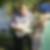 Photo de profil de Alain Boile