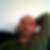 Photo de profil de Guilmet Fredreric