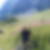 Photo de profil de Denis Boudard