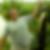 Photo de profil de Mickael Morey