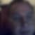 Photo de profil de Bernard Vieubled