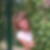 Photo de profil de Ghislaine Billet