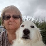 Photo de profil de Martine Desbouis