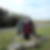 Photo de profil de Marie Jose Benard