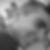 Photo de profil de Florent Brousse