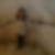Photo de profil de Fabienne Hemery